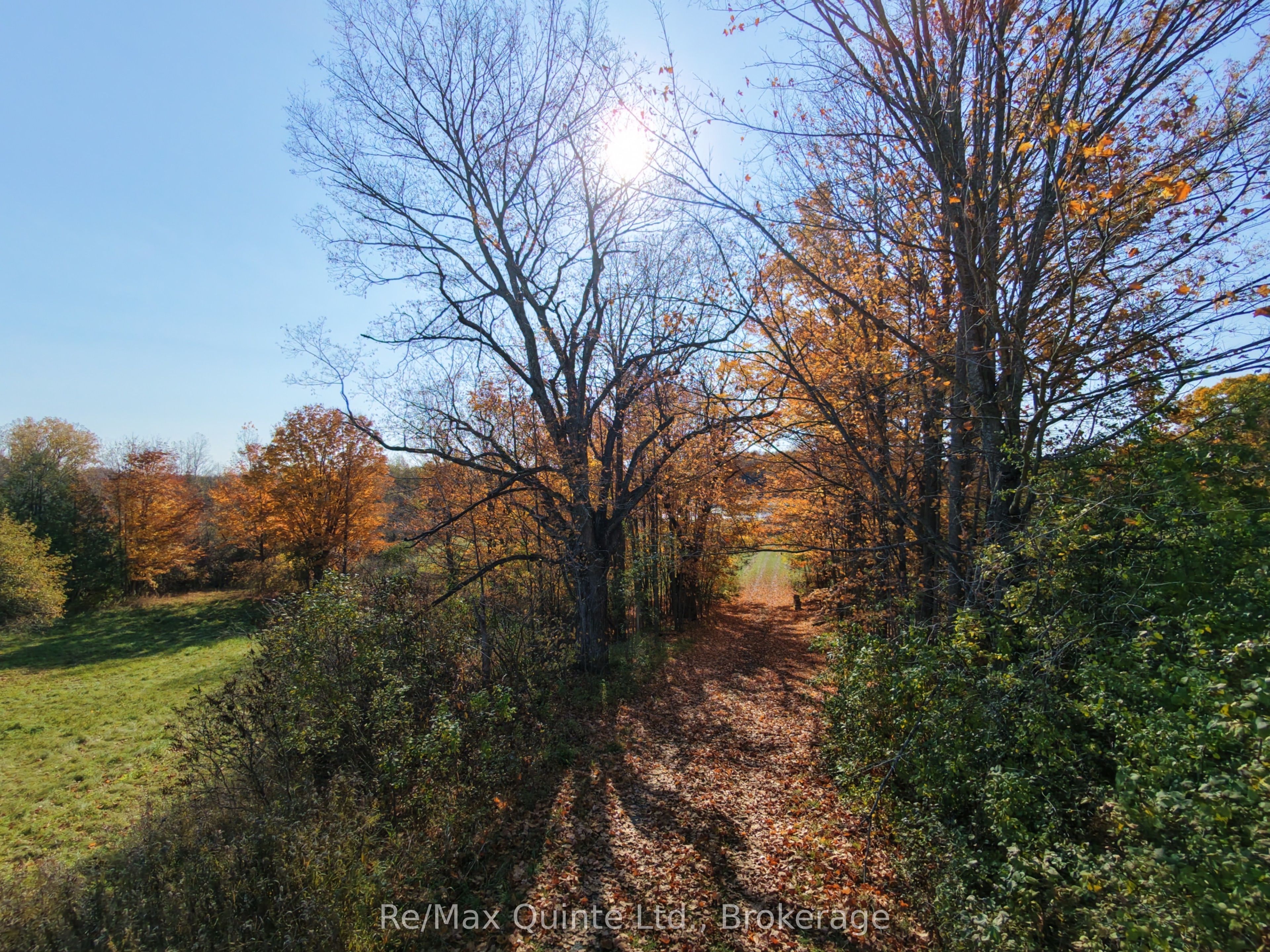 1079 Clearview Road Property Photo 11