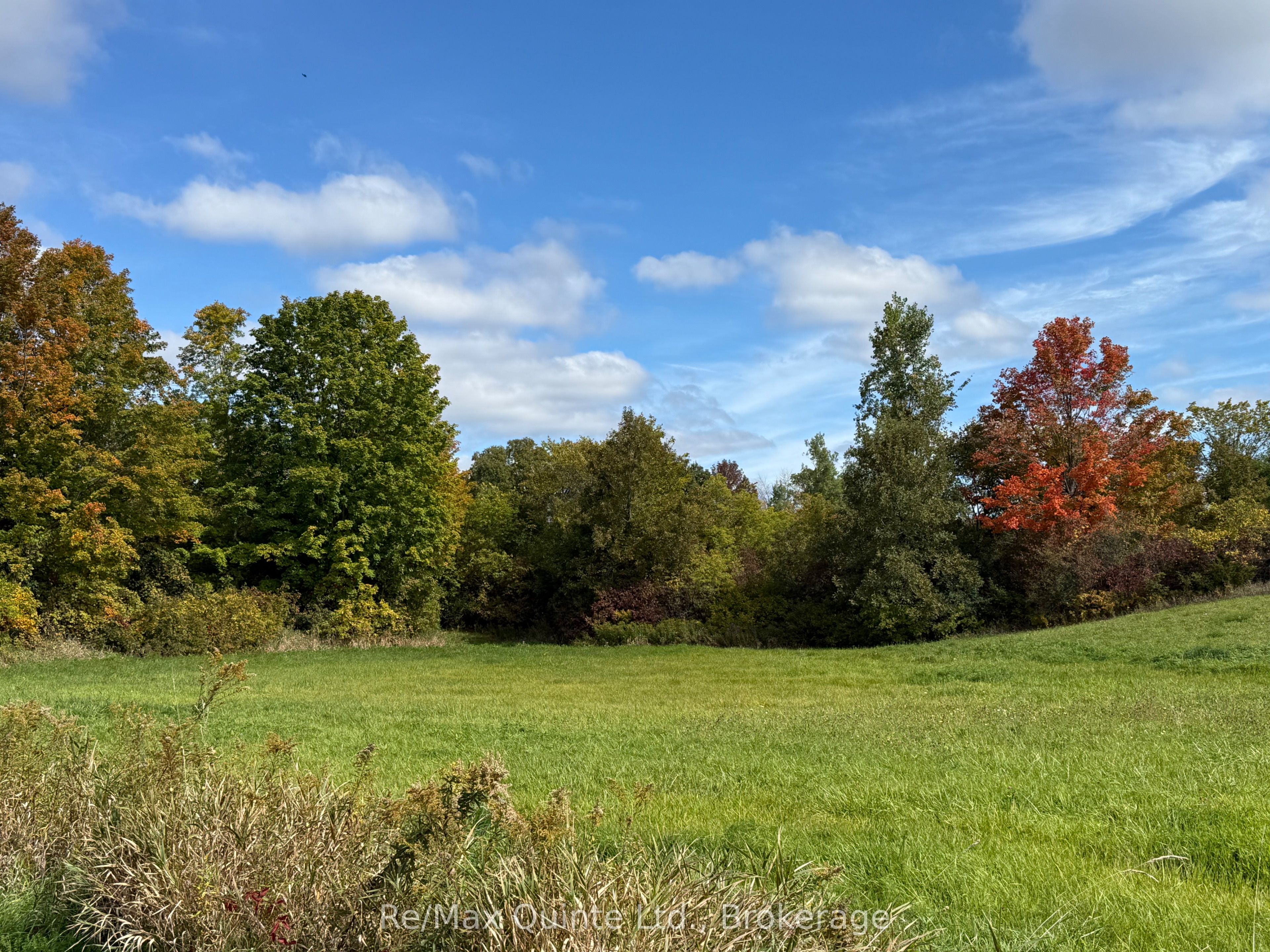 1079 Clearview Road Property Photo 16