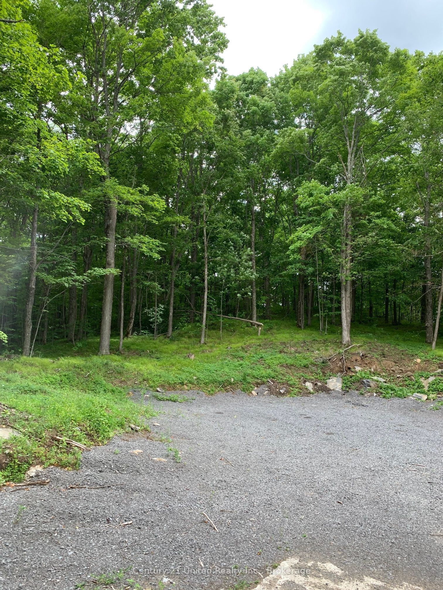 1282 Vansickle Road Property Photo 38