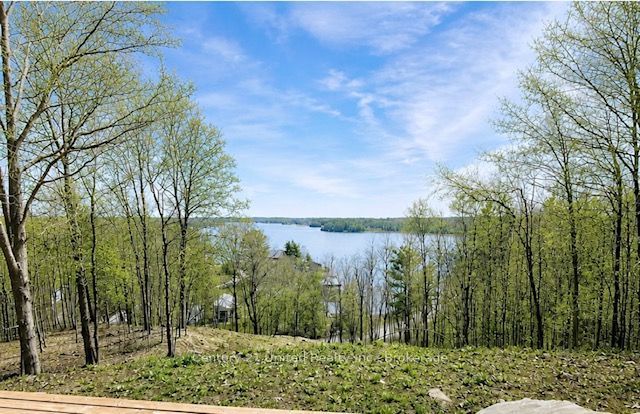 1282 Vansickle Road Property Photo 41