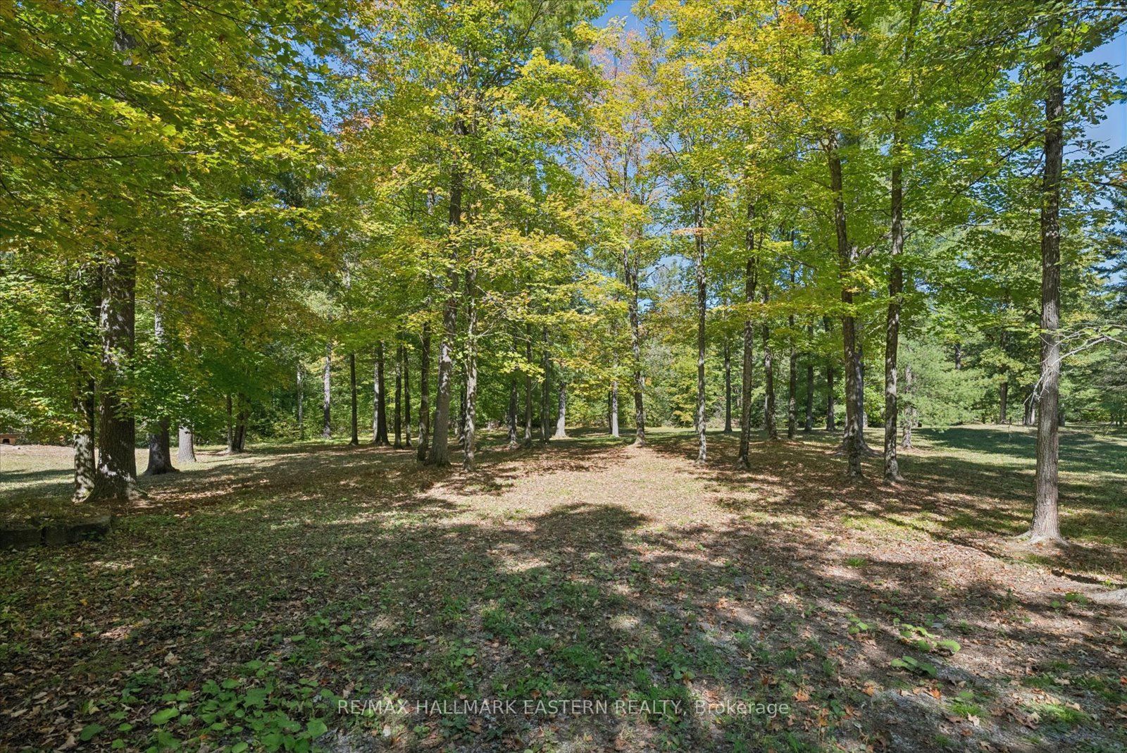 778 Eighth Line Road S Property Photo 45