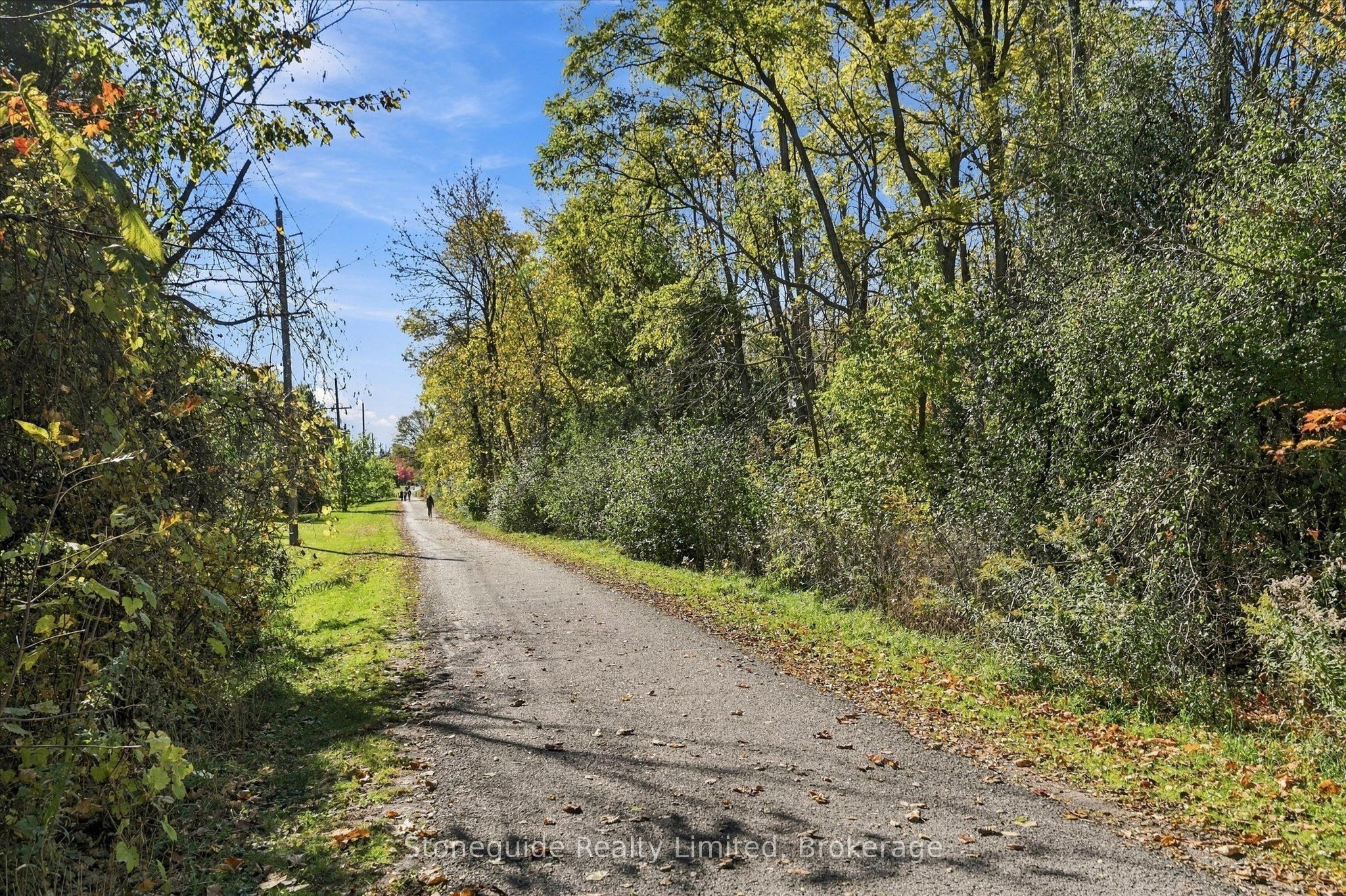 21 Paddock Wood 10 Property Photo 45