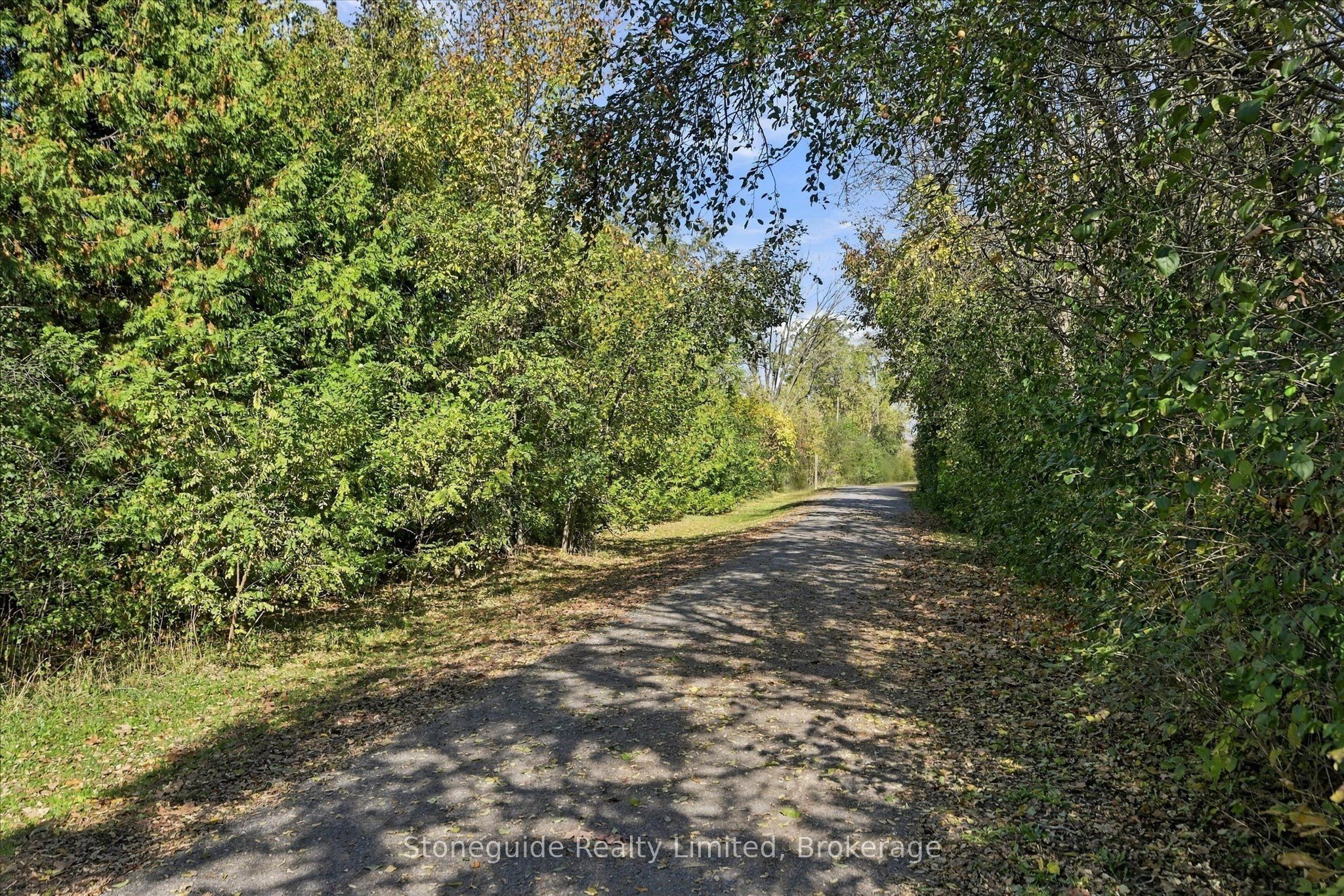 21 Paddock Wood 10 Property Photo 46