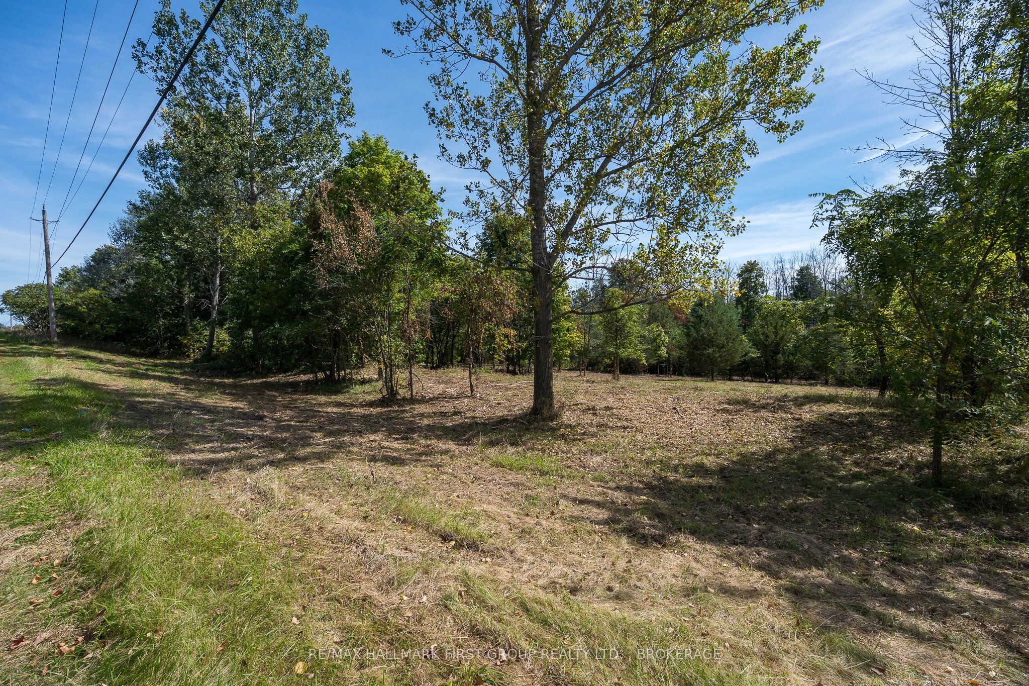00 Palace Road Property Photo 5