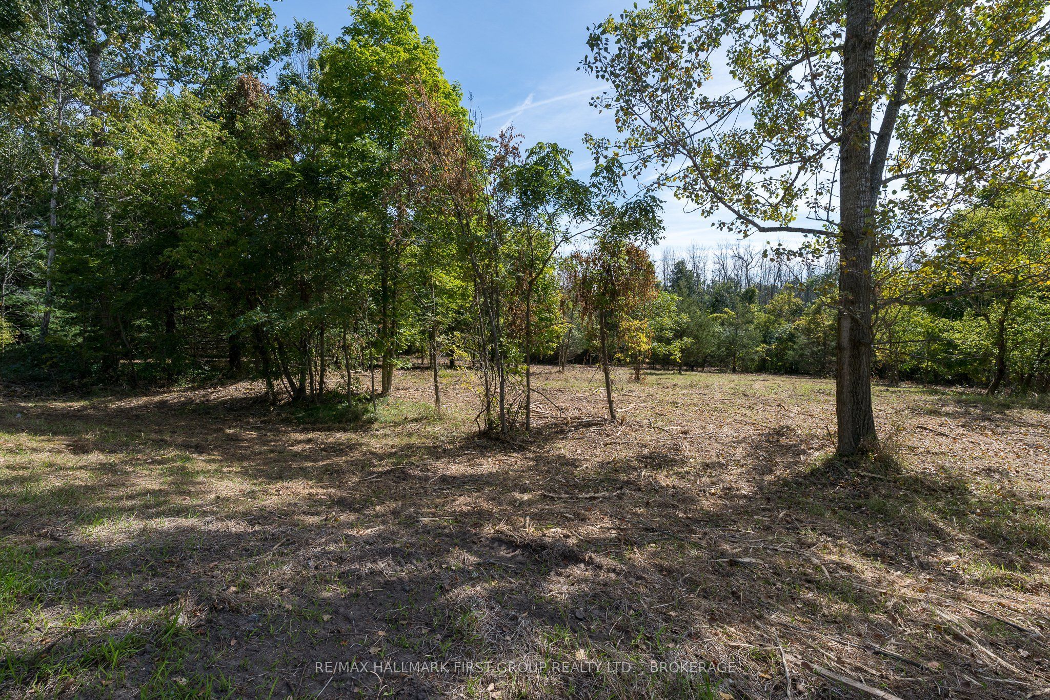 00 Palace Road Property Photo 6