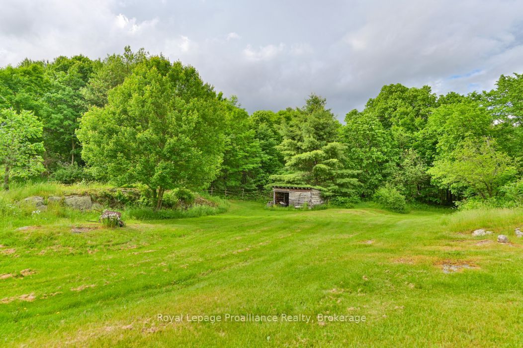 369 5th Concession Rd S Road Property Photo 23