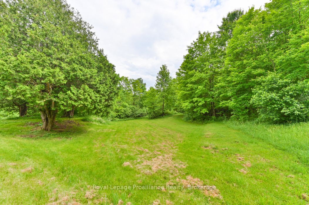 369 5th Concession Rd S Road Property Photo 26