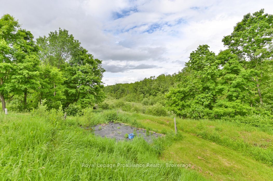 369 5th Concession Rd S Road Property Photo 27