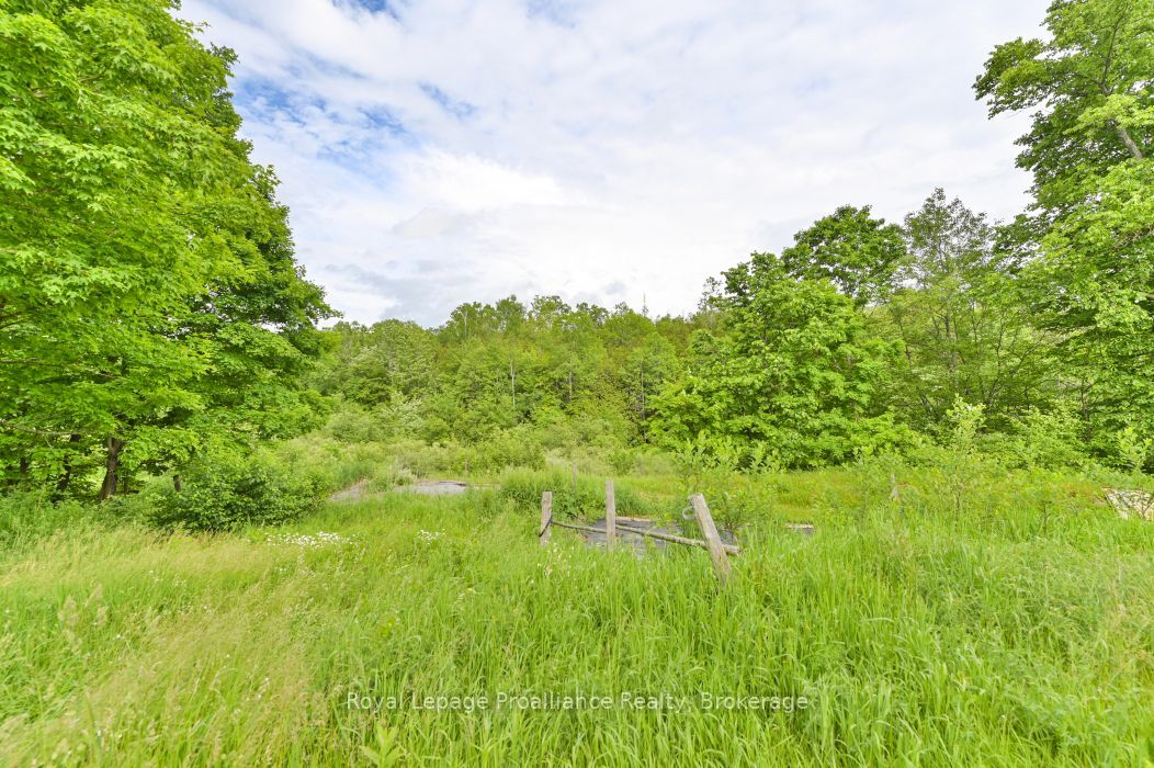 369 5th Concession Rd S Road Property Photo 28