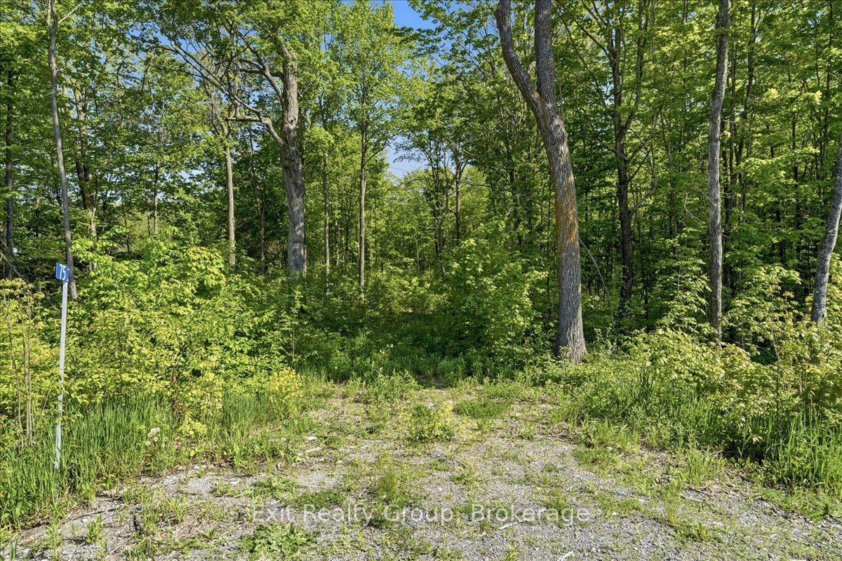 75 Spry Road Property Photo 3