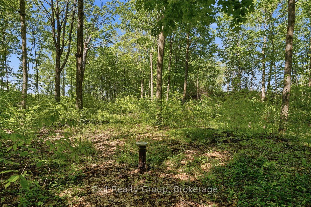 75 Spry Road Property Photo 4