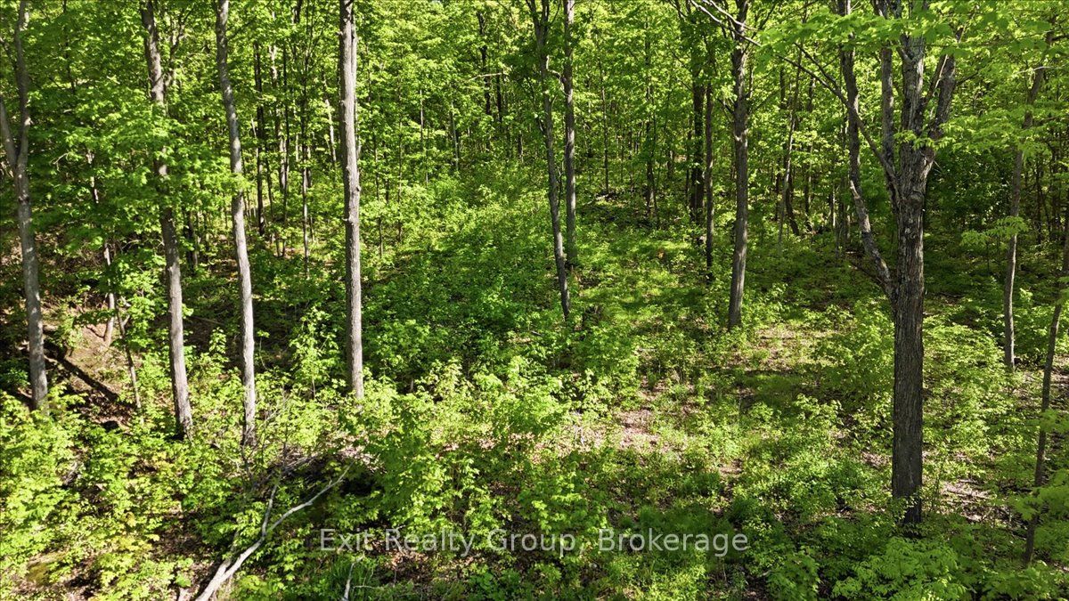 75 Spry Road Property Photo 5