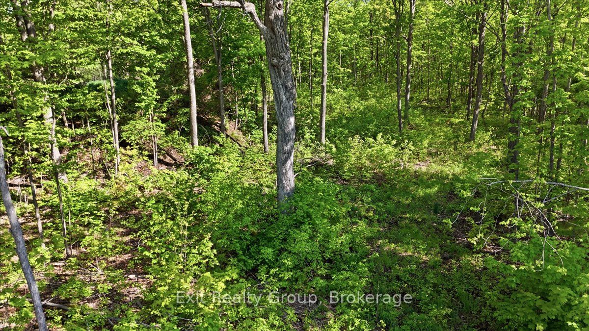 75 Spry Road Property Photo 6