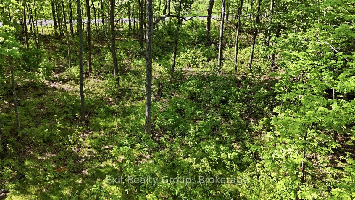 75 Spry Road Property Photo 7