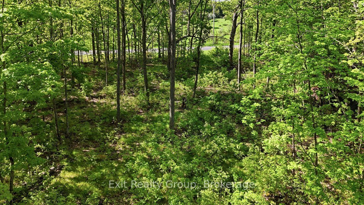 75 Spry Road Property Photo 8