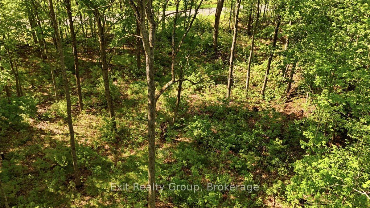 75 Spry Road Property Photo 9