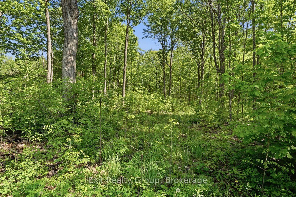 75 Spry Road Property Photo 10