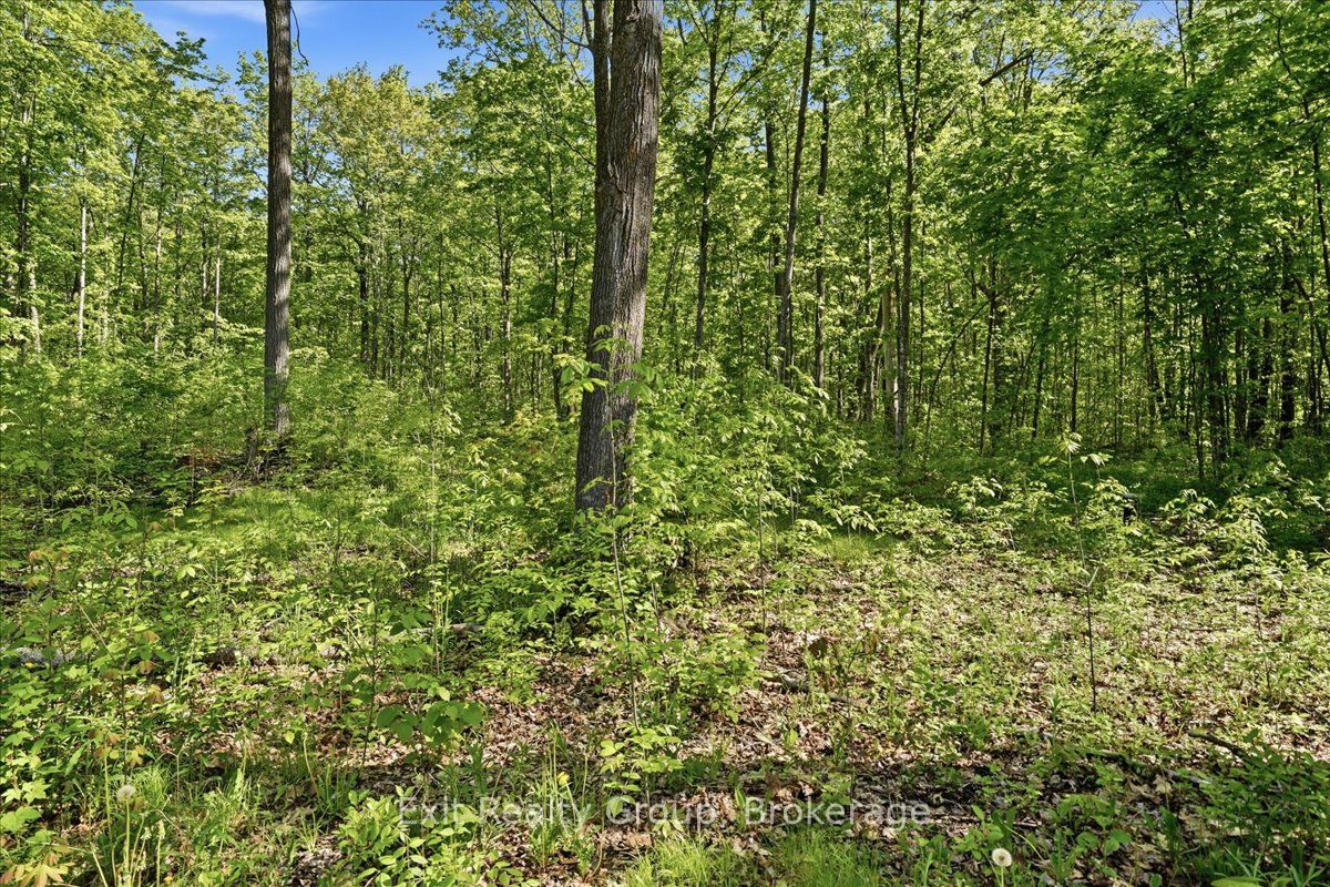 75 Spry Road Property Photo 11