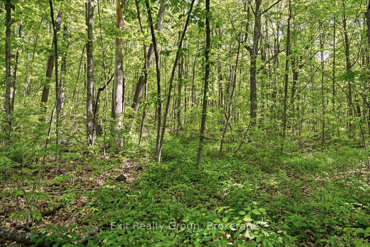 75 Spry Road Property Photo 12