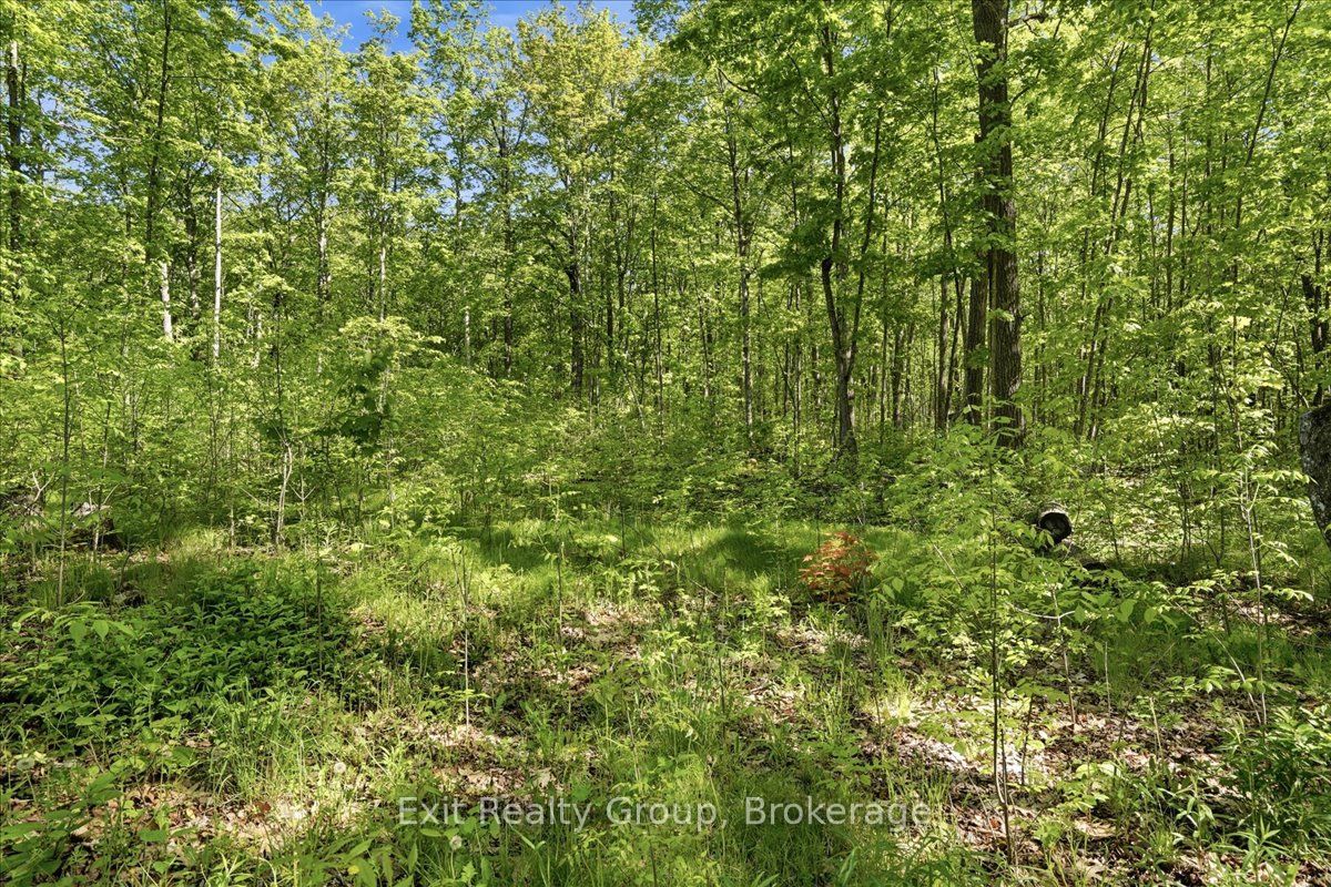 75 Spry Road Property Photo 13