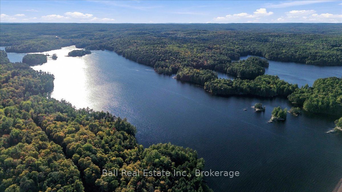 616 Weslemkoon Lake Property Photo 45