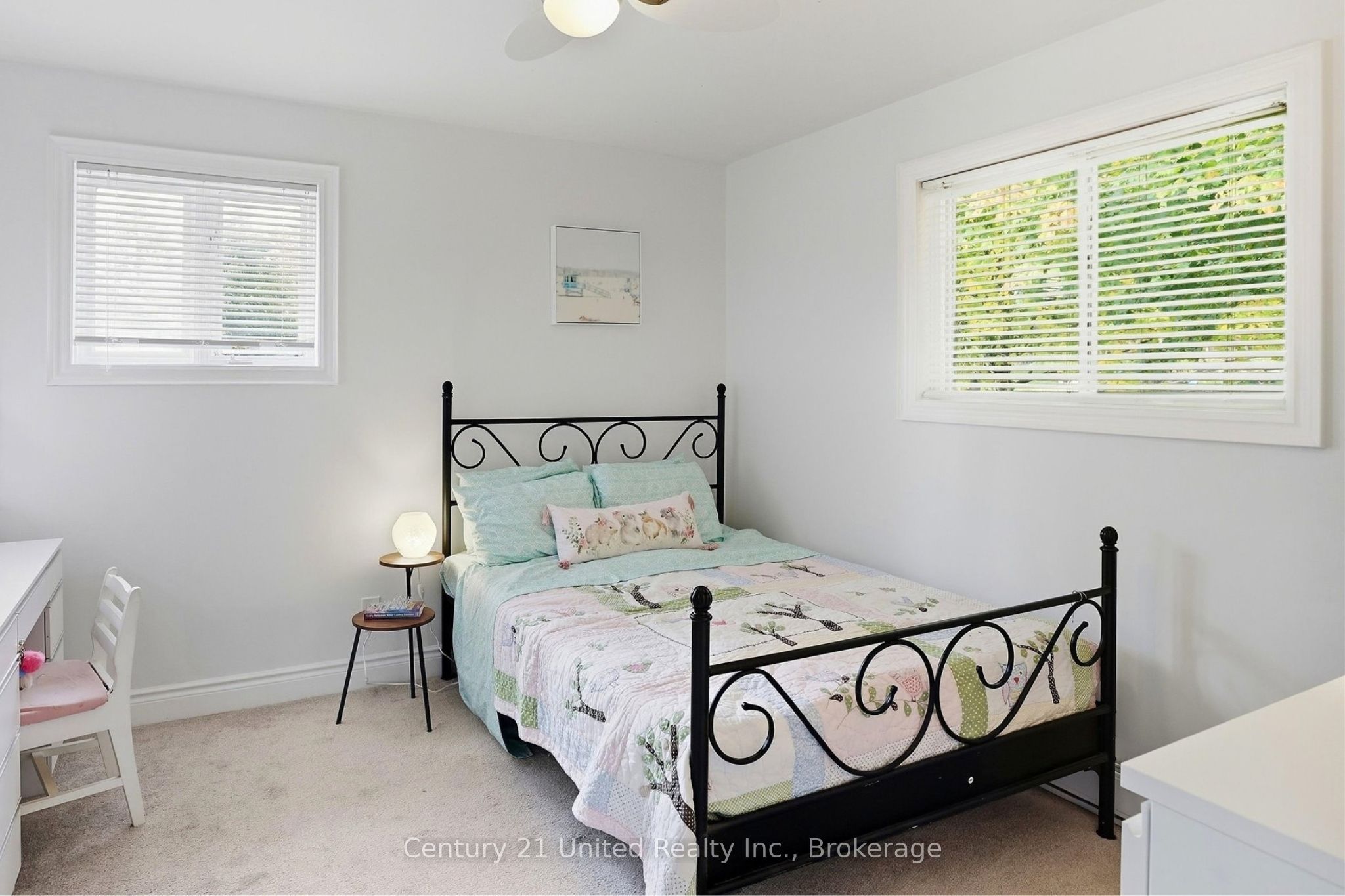 46 Ridge Street Property Photo 22