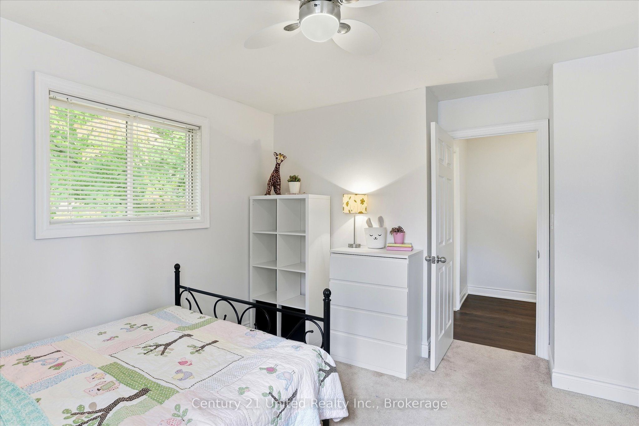 46 Ridge Street Property Photo 23