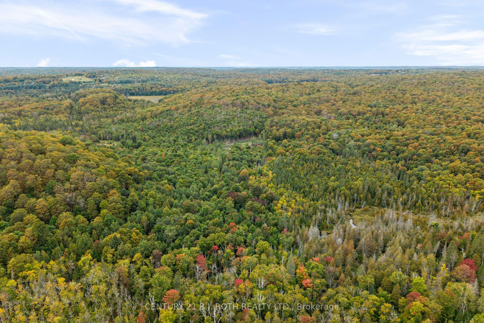 Pt 23 & 24 4 Concession Property Photo 5