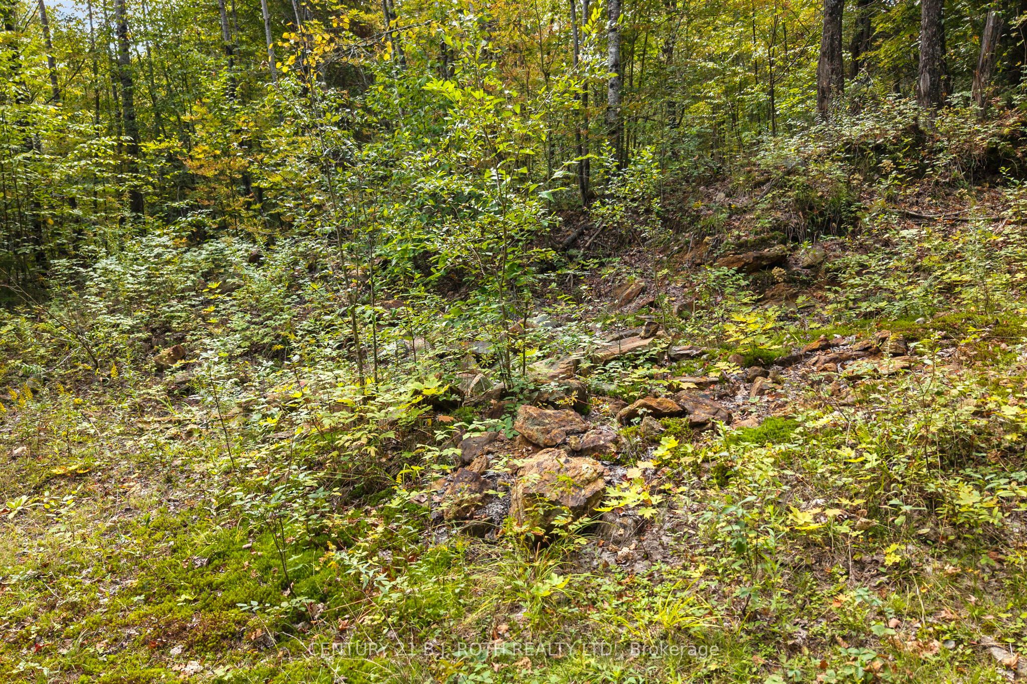 Pt 23 & 24 4 Concession Property Photo 10