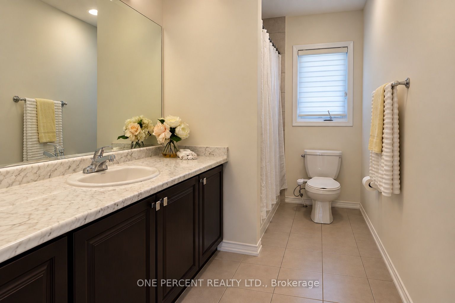 21 Anderson Road Property Photo 28