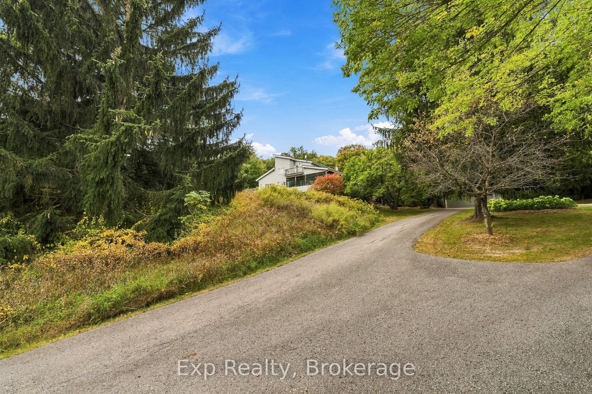 3282 Williamson Road Property Photo 5