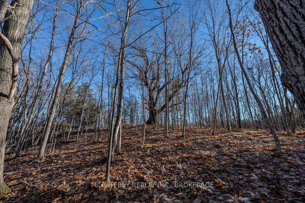 Lot 5 Hinterland Lane Property Photo 31