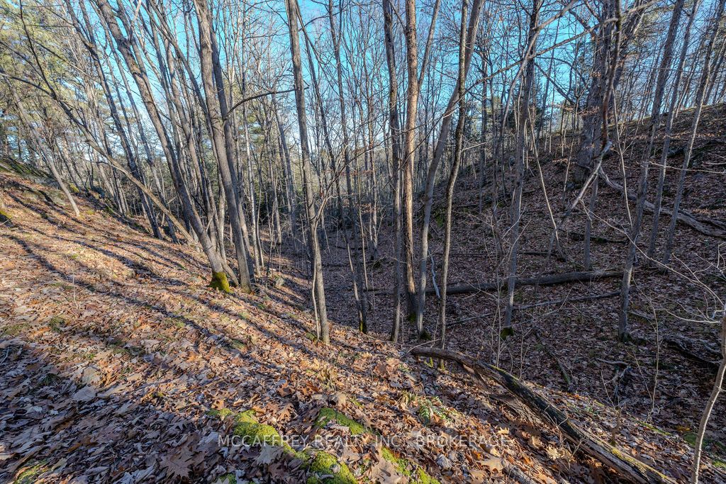Lot 5 Hinterland Lane Property Photo 32