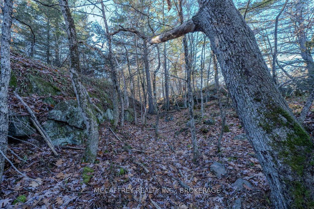 Lot 5 Hinterland Lane Property Photo 33