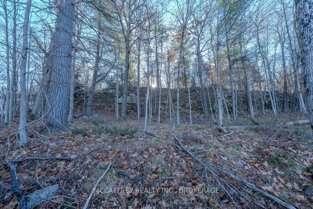 Lot 5 Hinterland Lane Property Photo 35