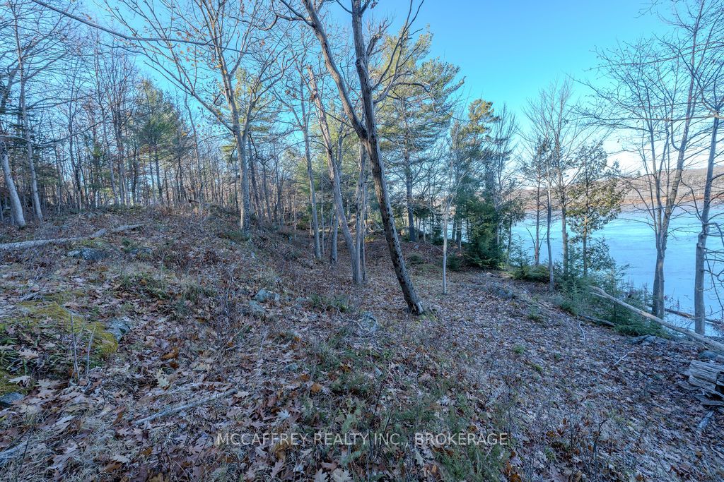 Lot 5 Hinterland Lane Property Photo 36