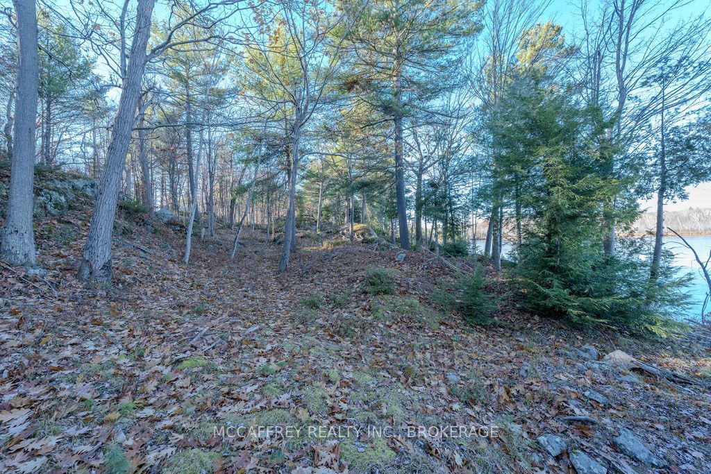 Lot 5 Hinterland Lane Property Photo 38