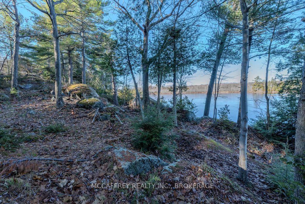 Lot 5 Hinterland Lane Property Photo 43