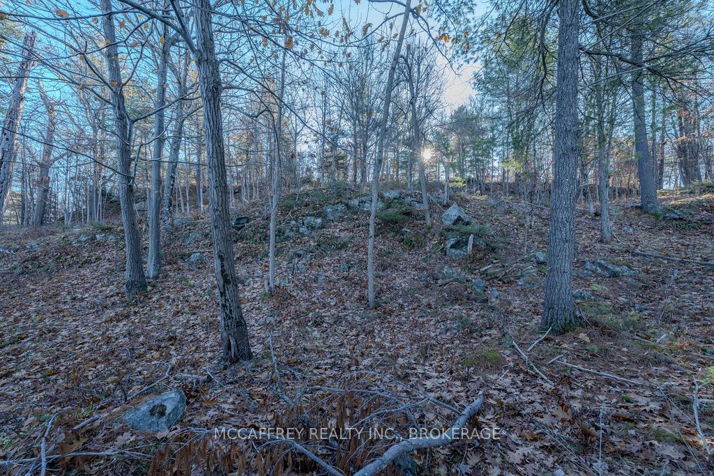 Lot 5 Hinterland Lane Property Photo 44