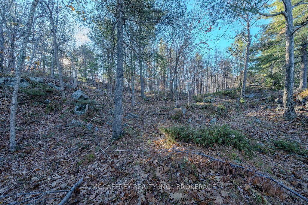 Lot 5 Hinterland Lane Property Photo 45