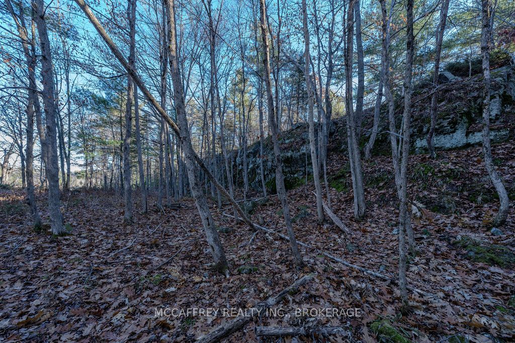 Lot 5 Hinterland Lane Property Photo 46
