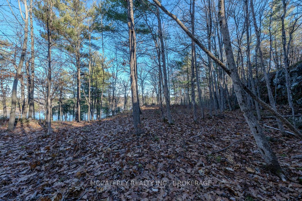 Lot 5 Hinterland Lane Property Photo 47