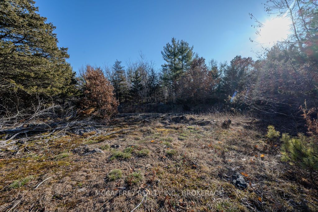 Lot 5 Hinterland Lane Property Photo 49