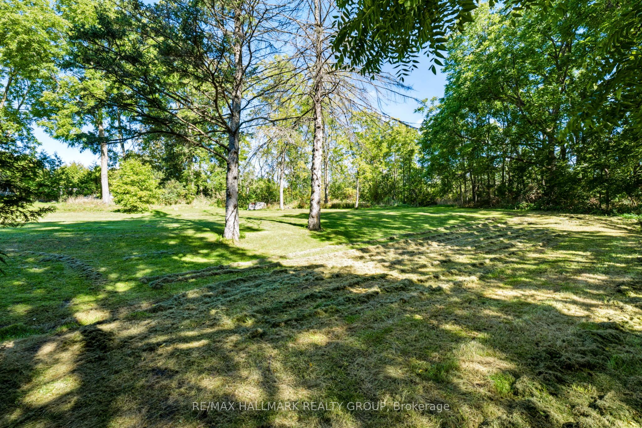 9 James Street Property Photo 36