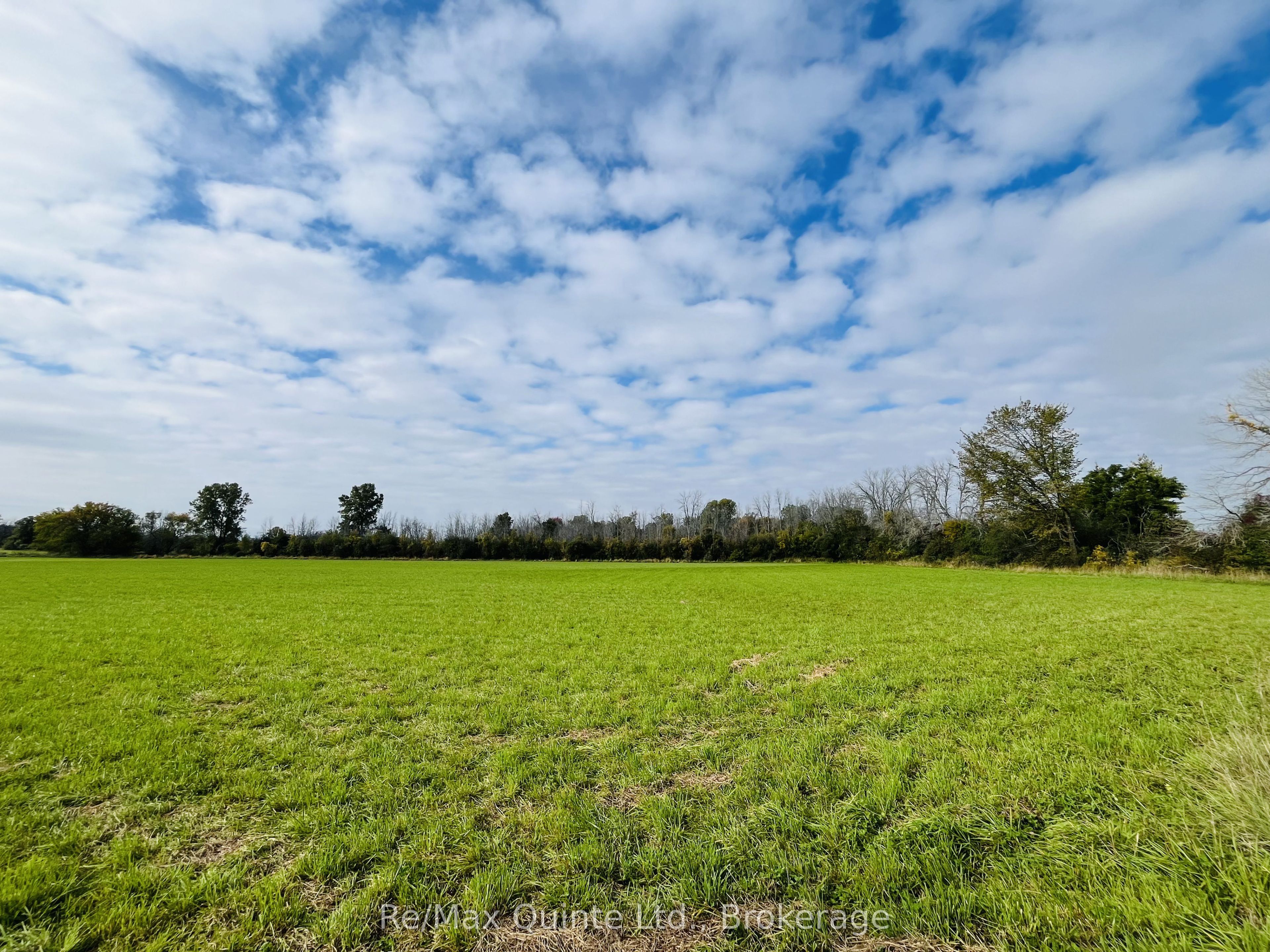 . Forsythe Road Property Photo 3