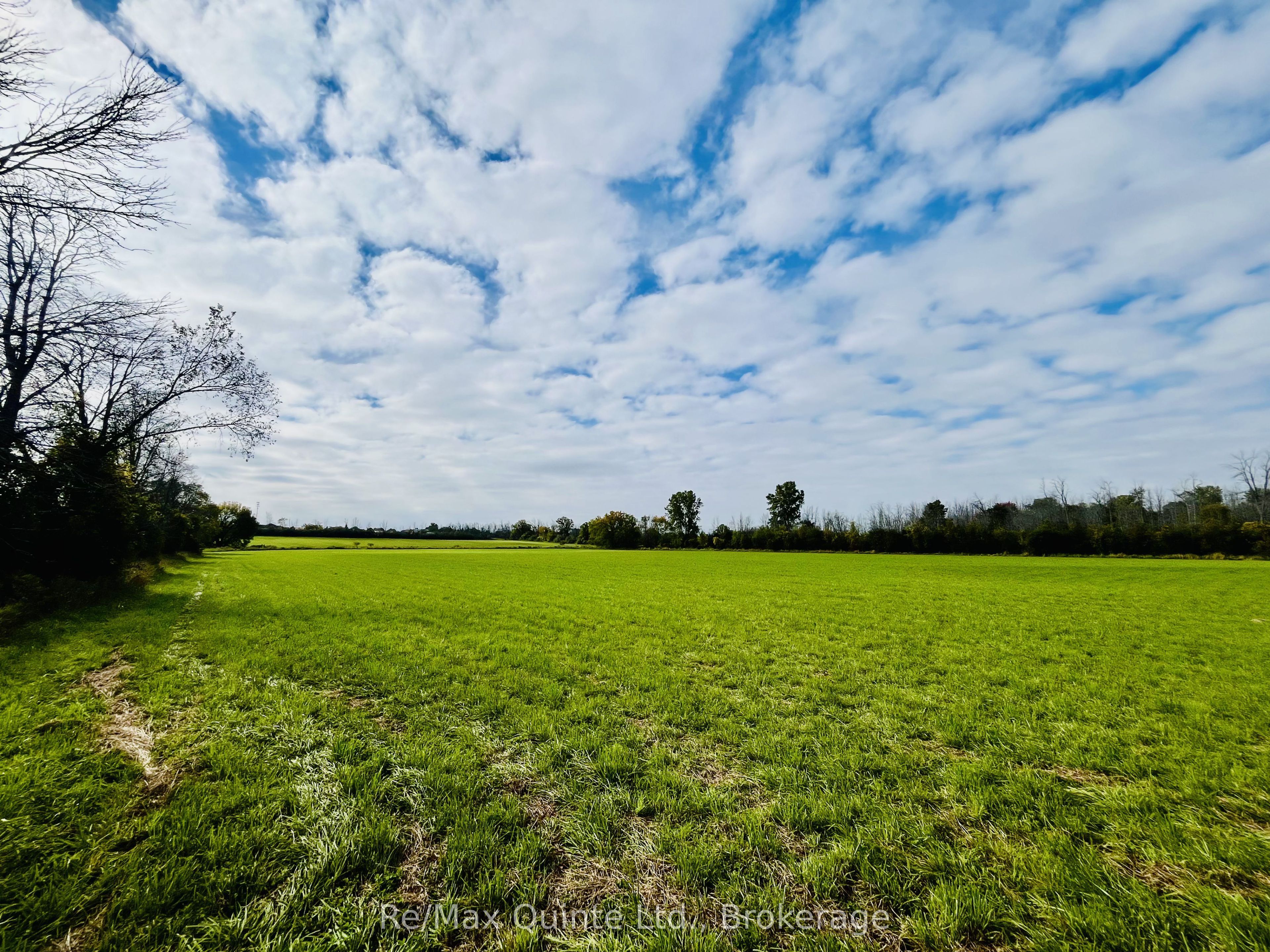 . Forsythe Road Property Photo 6