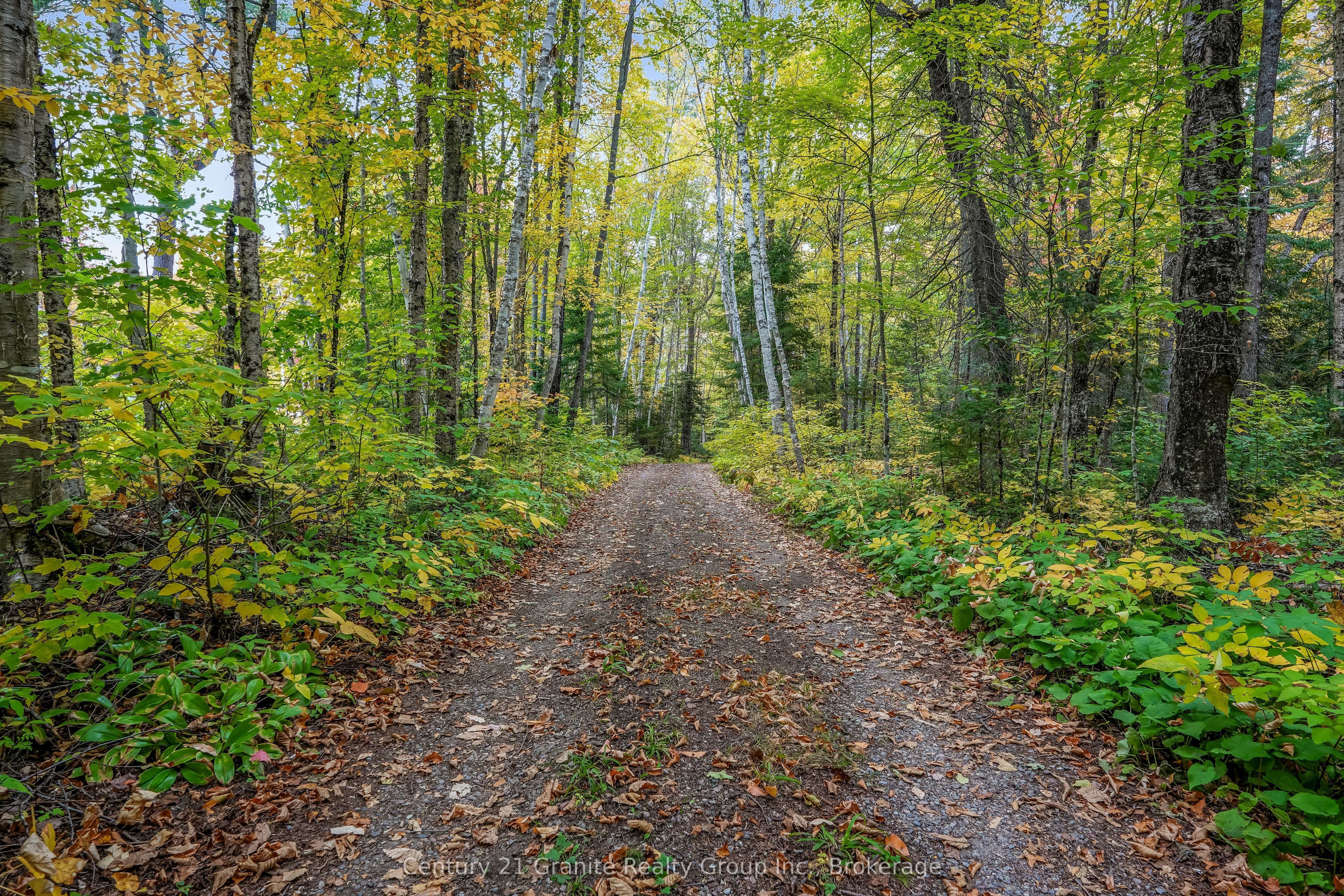 4175 Elephant Lake Road Property Photo 6