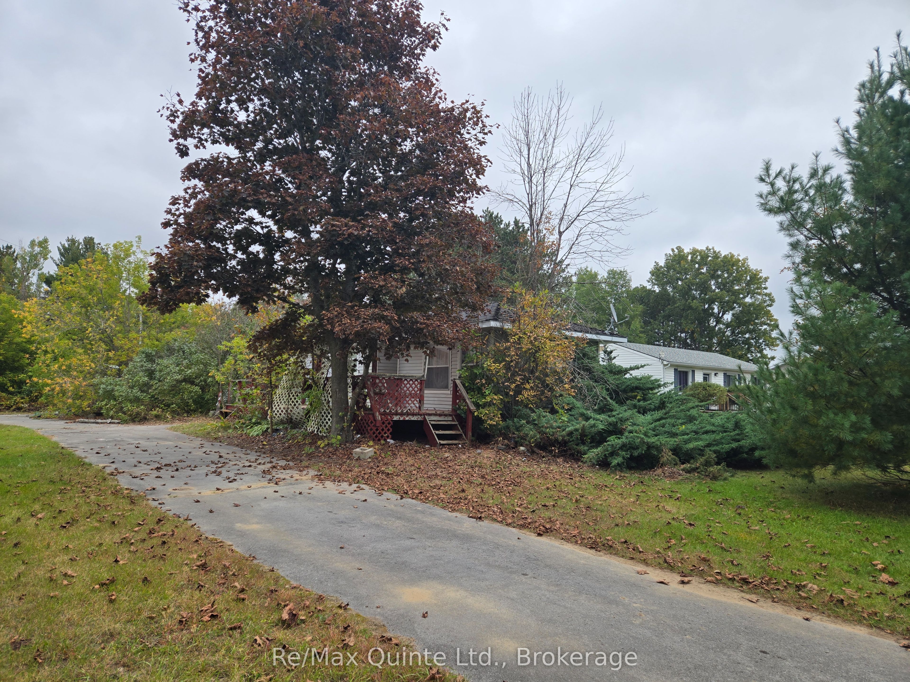 73 Charles Road Property Photo 4
