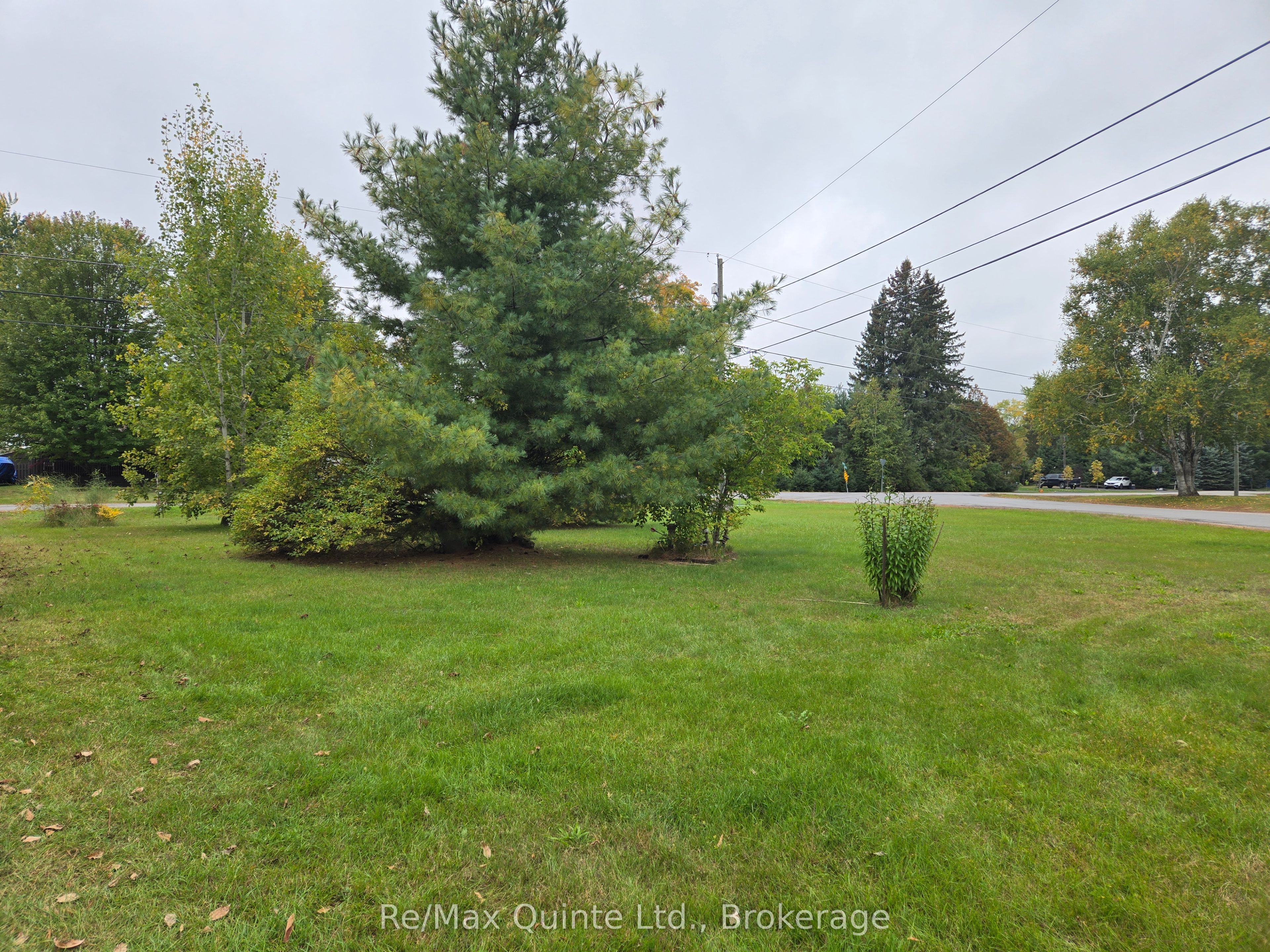 73 Charles Road Property Photo 9