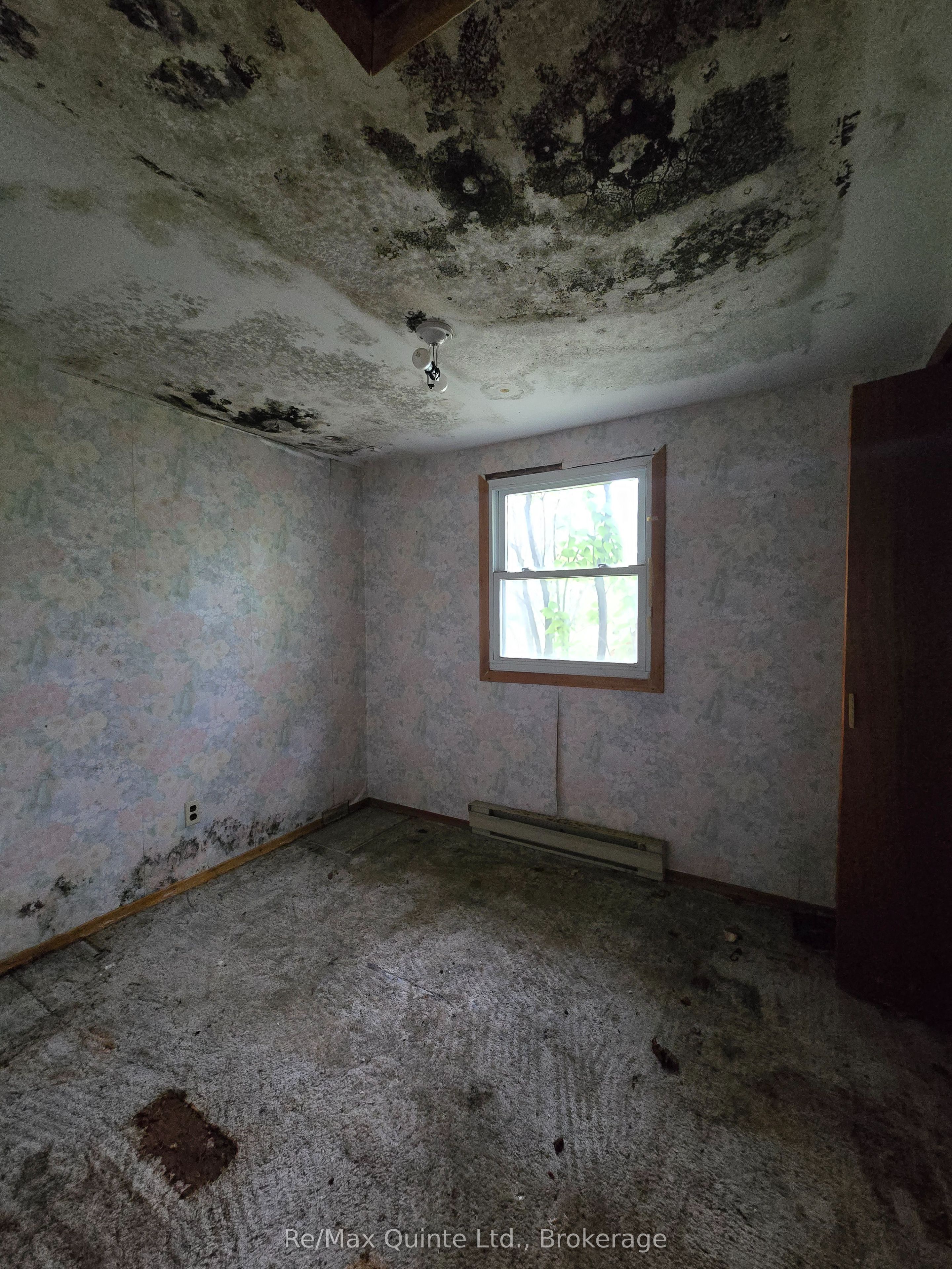 73 Charles Road Property Photo 17